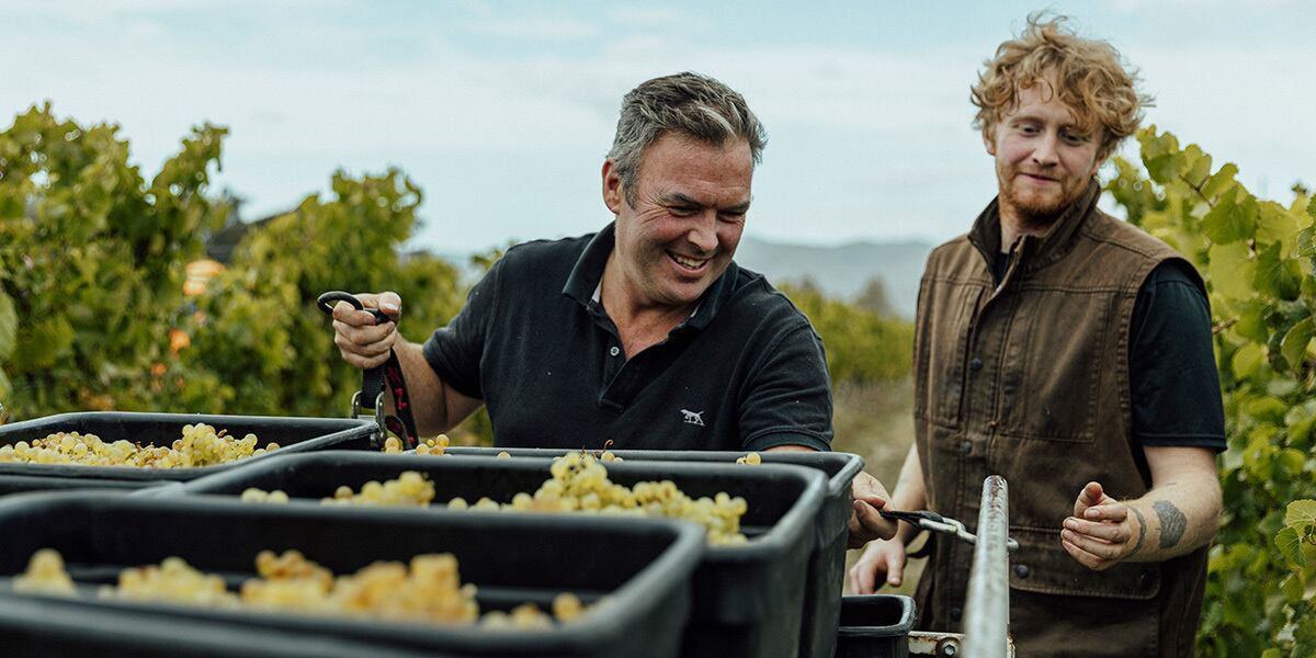 Novum Pinot Noir New Zealand | Southern Cross Wine Club（サザン