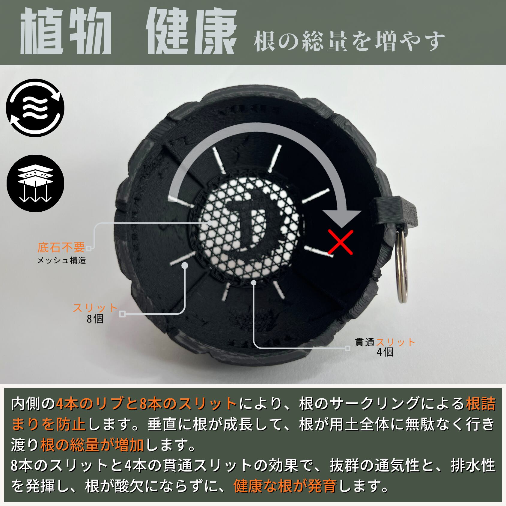 植物を健康に育てる/根の総量が増加