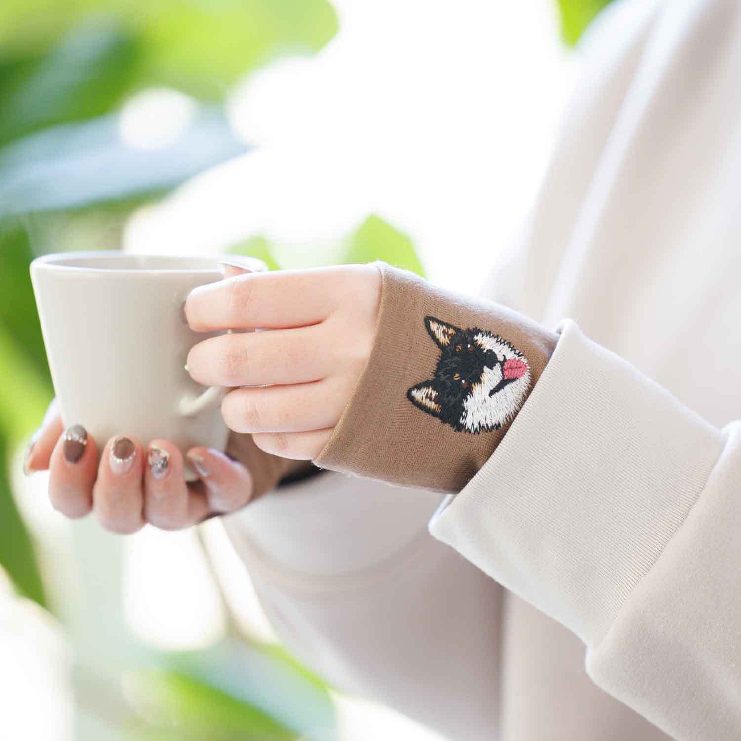 キリッと可愛い黒柴