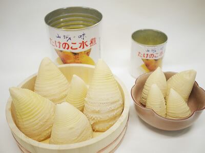 山城の味 たけのこ水煮 1号缶 | 京都山城の筍・たけのこ煮