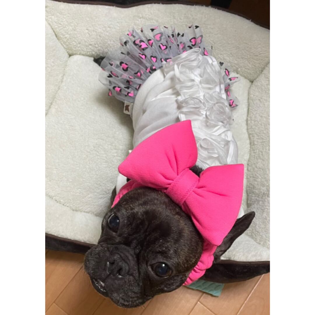 @hi.tomi1520