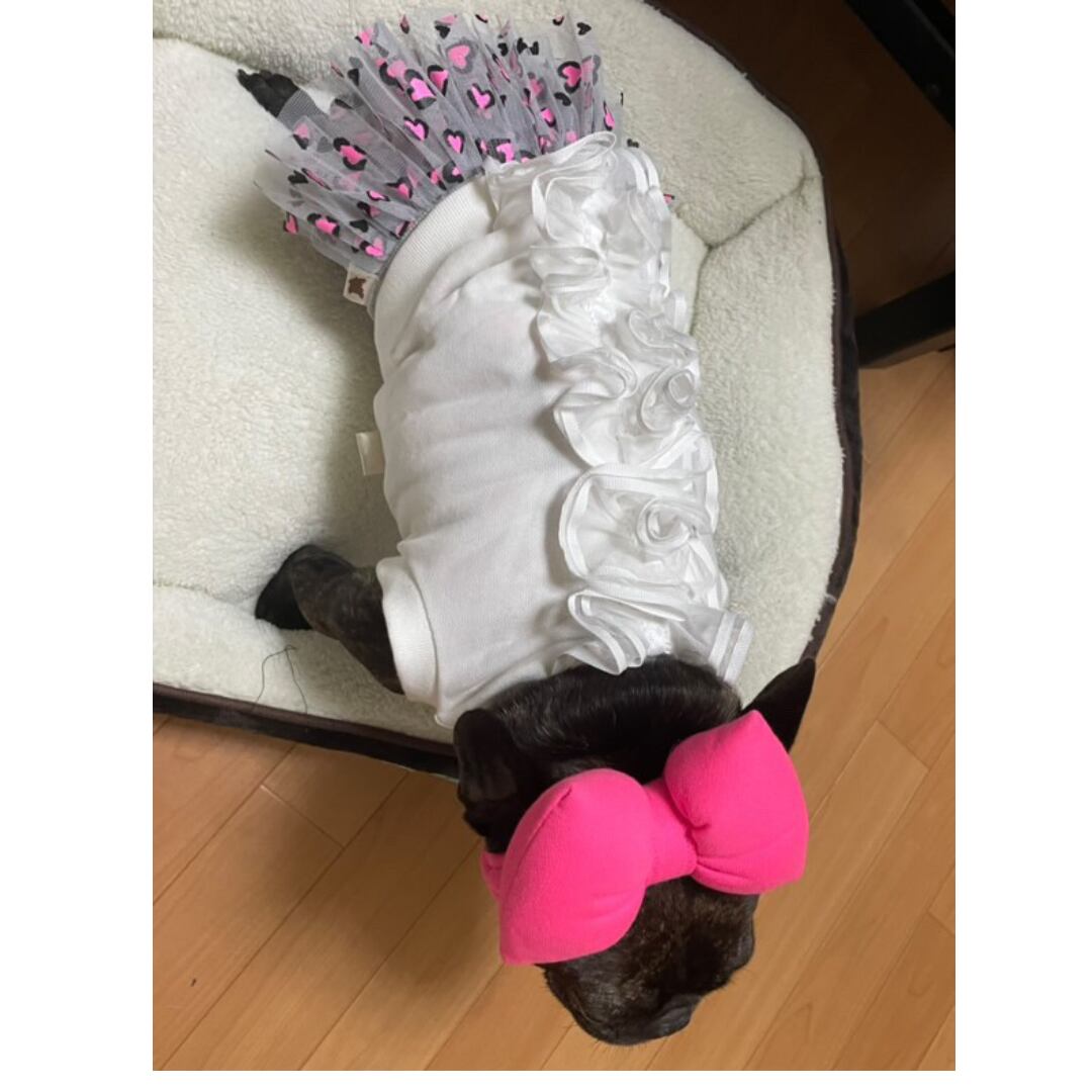 @hi.tomi1520