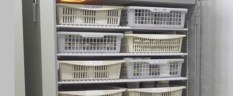 フランスで学んだ技術を基に、最適な温度で旨味成分を引き出す熟成を行い、最適な熟成期間を設けています。