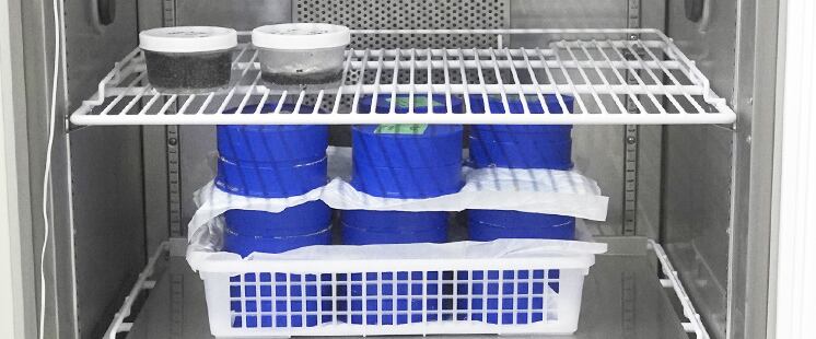 マイナス40度で冷凍し鮮度と旨味を保ちます。冷凍しないと酸化が進み、食感や旨味が失われます。