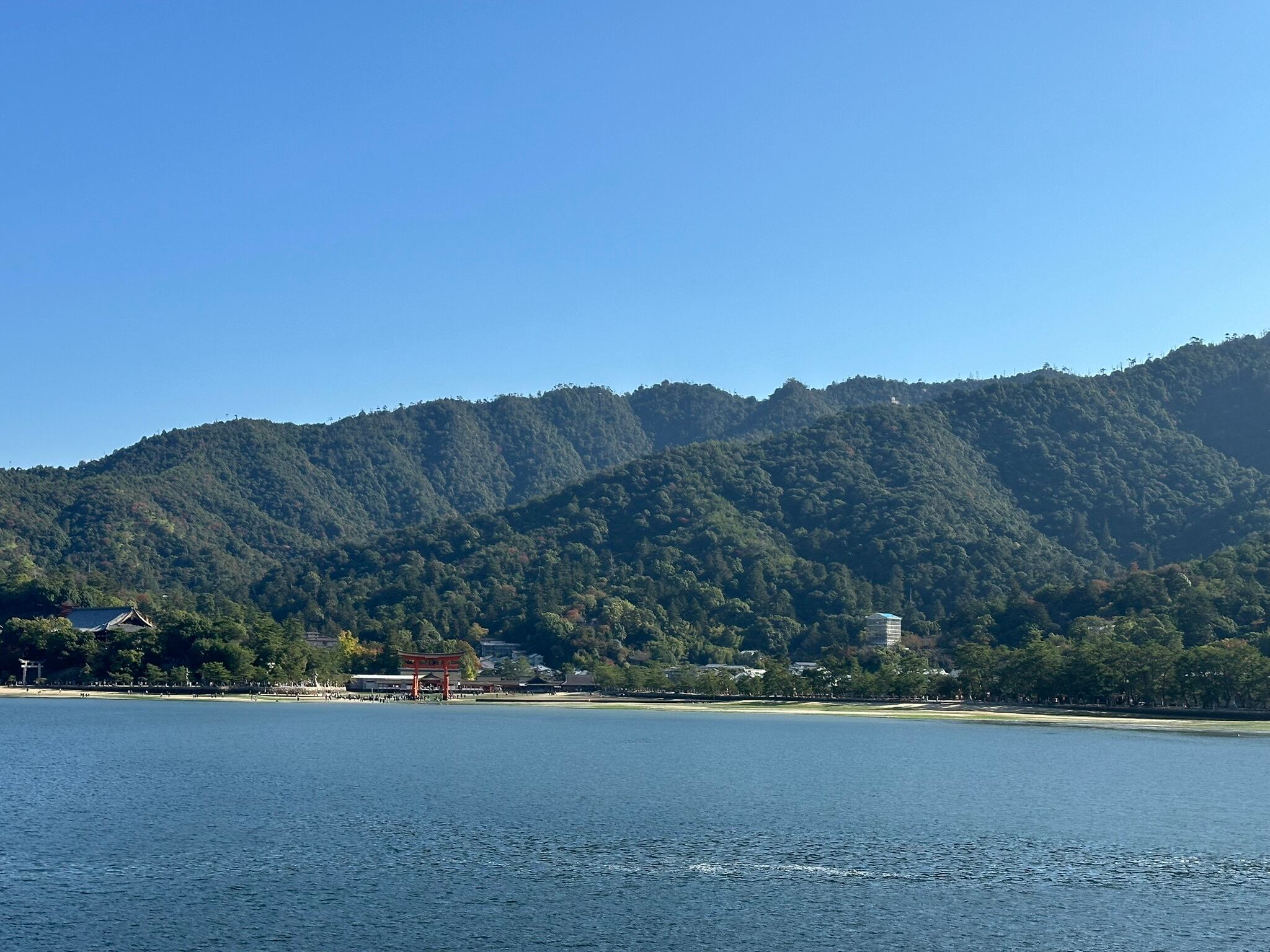 Taking ferry to Miyajima Island
