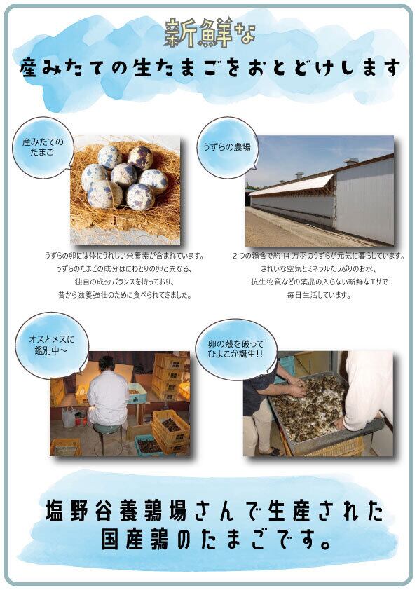 食用】産地直送 うずらの生卵 『生命のたまご』10個入り×30パック