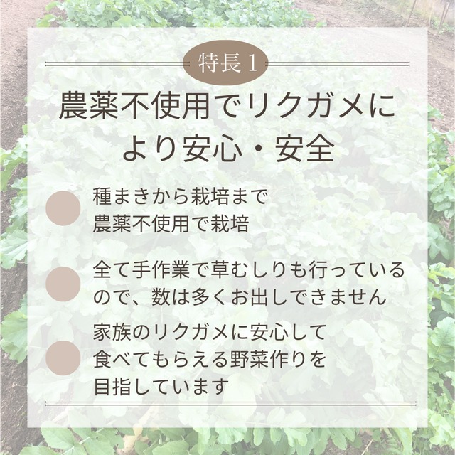 【春までおやすみ】＜クール便・金曜日発送＞【小さいサイズ】季節のお野菜セット