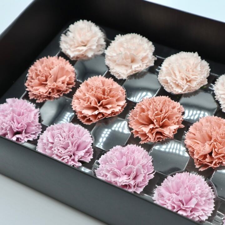 ミニカーネーションMC-MIX3薄ピンク(15輪入り)