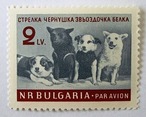 スペース・ドッグ / ブルガリア 1961