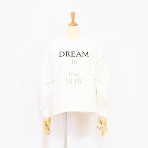 【PASSIONE（パシオーネ） 616934】ロゴロンT