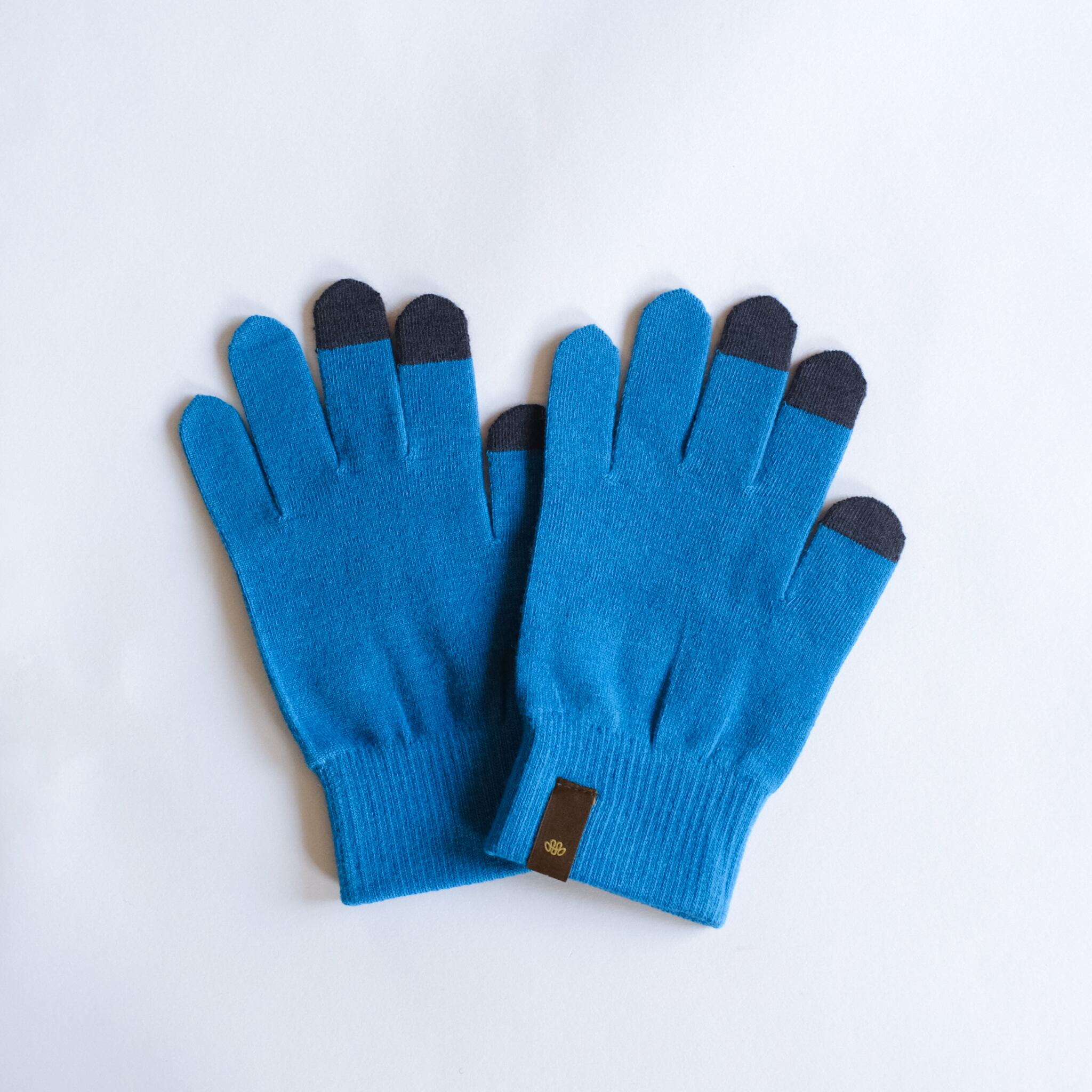 Teton Bros. / Axio Glove (シンプルで万能なベースグローブ