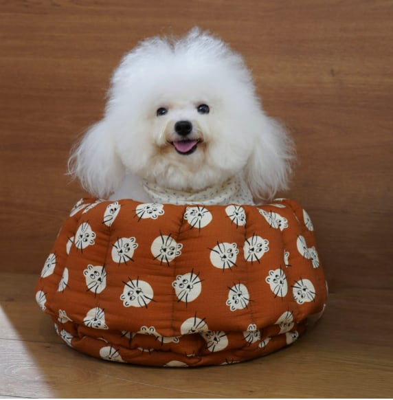 予約【azalea】Meow Caramel Cheese Canelé Cushion