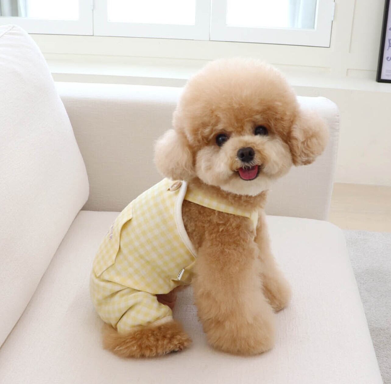 L/即納【Chiot】Together Check All in one《Yellow》