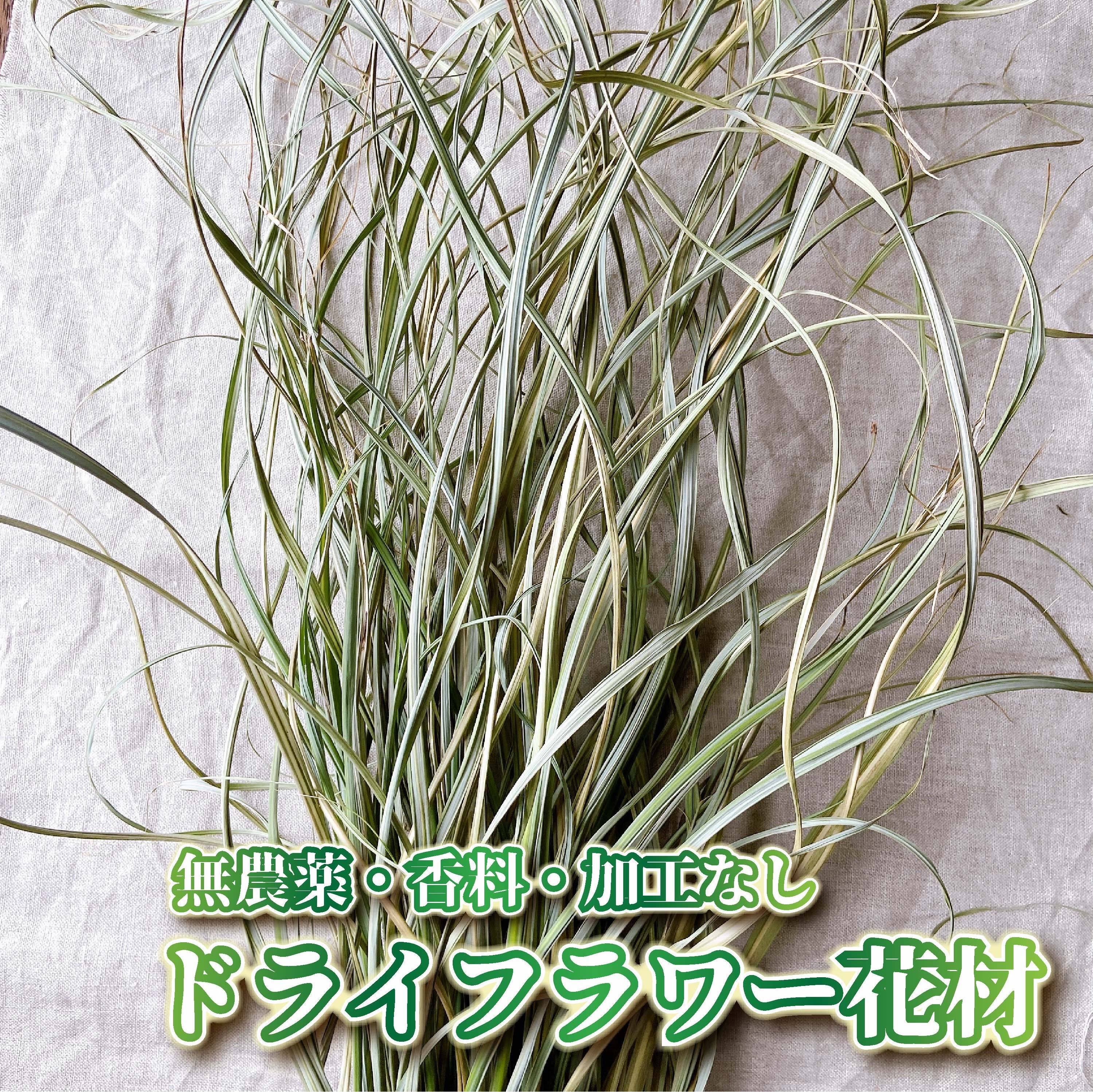 000bfc86d2877da11be06e1b182eb1