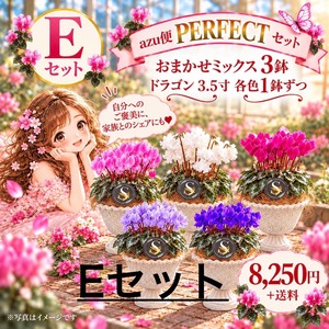 AZU便 PERFECT｜Eセット