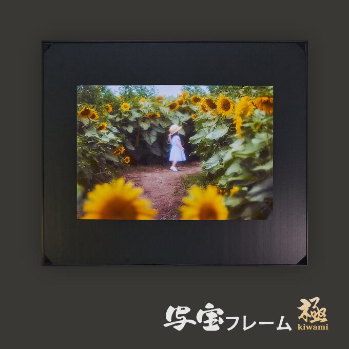 FUJIFILM写真展示用フレーム 全紙2 全紙3枚組2 半切2 4切