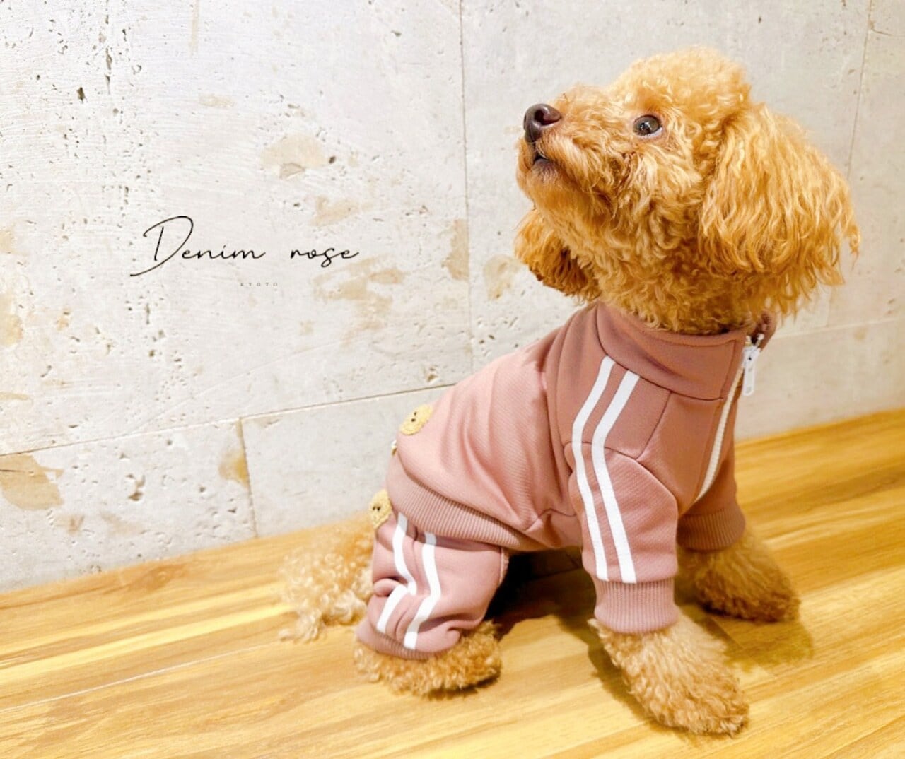 ワッペンジャージパンツ | DENIM ROSE