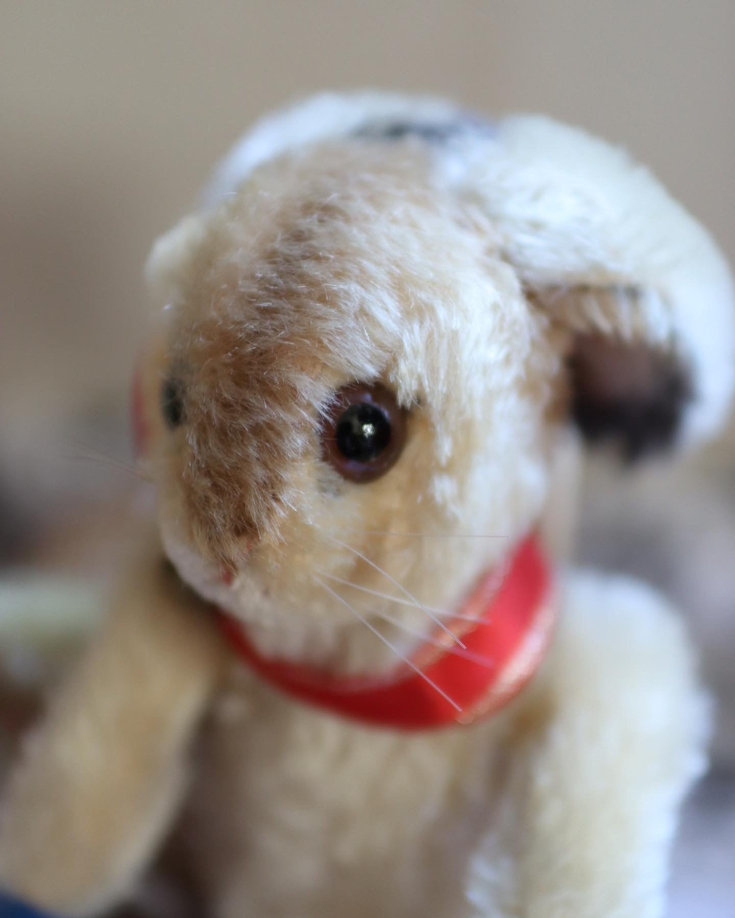 シュタイフ うさぎ Steiff EasterRabbit ヴィンテージ ぬいぐるみ