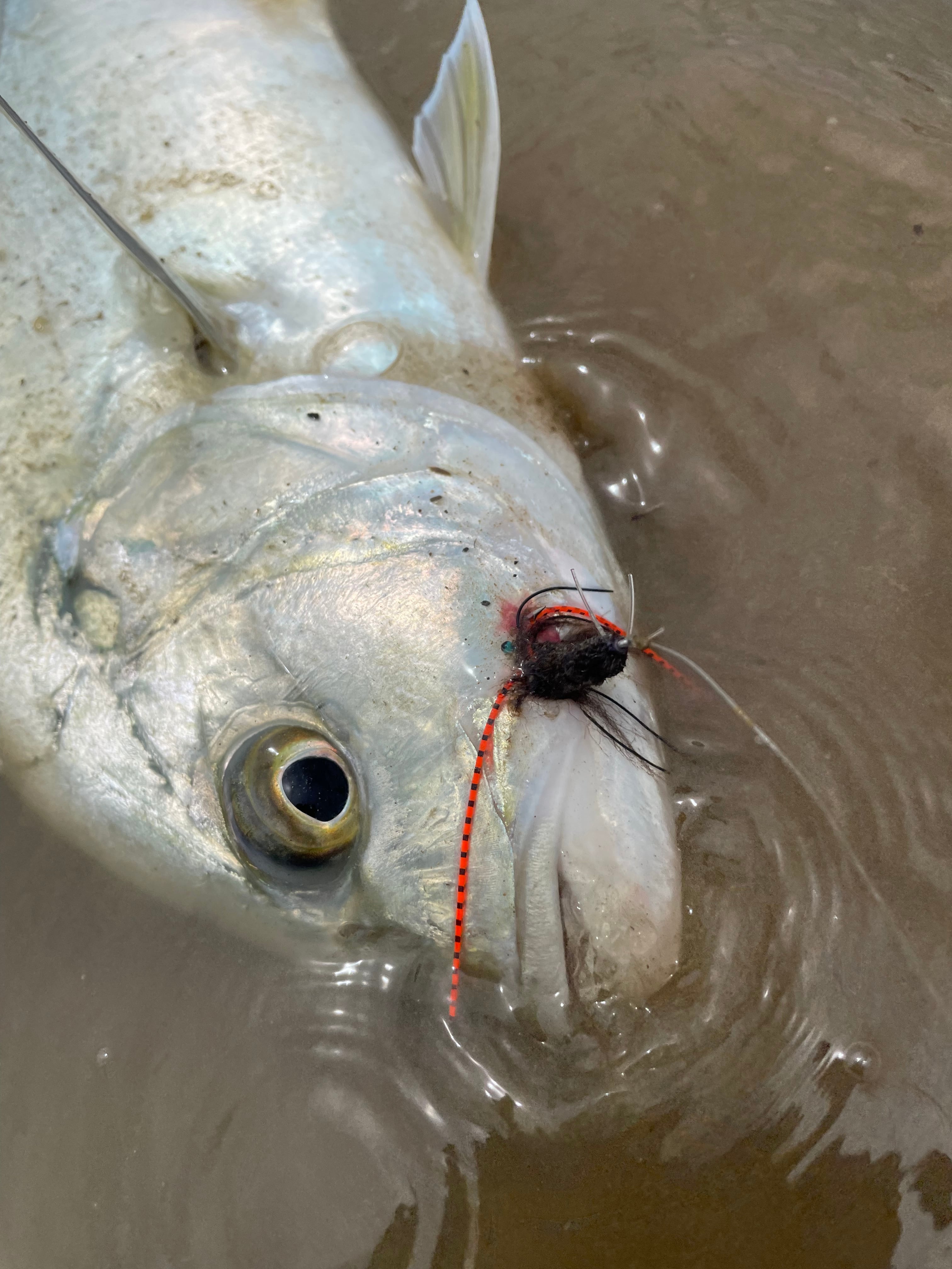 cherry様 パープル×2 30％OFF／SALE】コンバース CONVERSE スニーカー オールスター