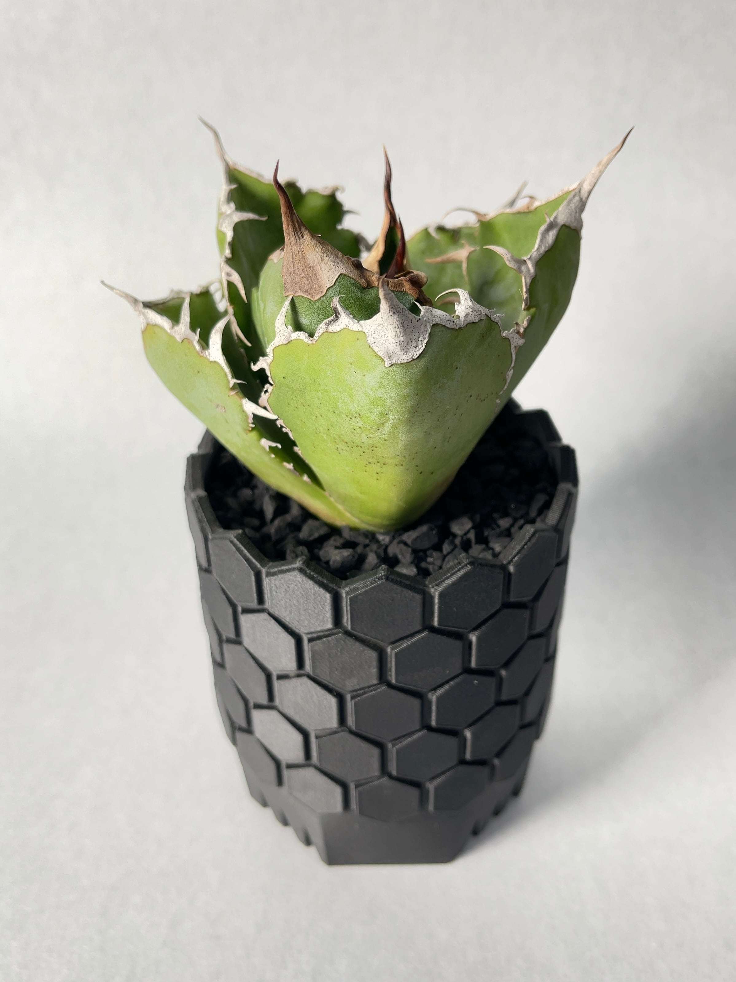 10kg 化粧石 砂 マルチング デコジャリ ブラック アガベ 化粧砂 土