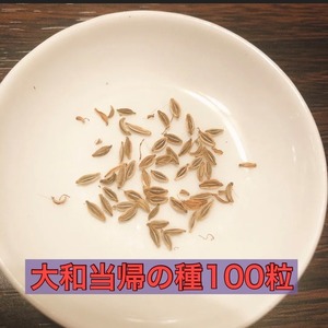 大和当帰の種(100粒＋α)