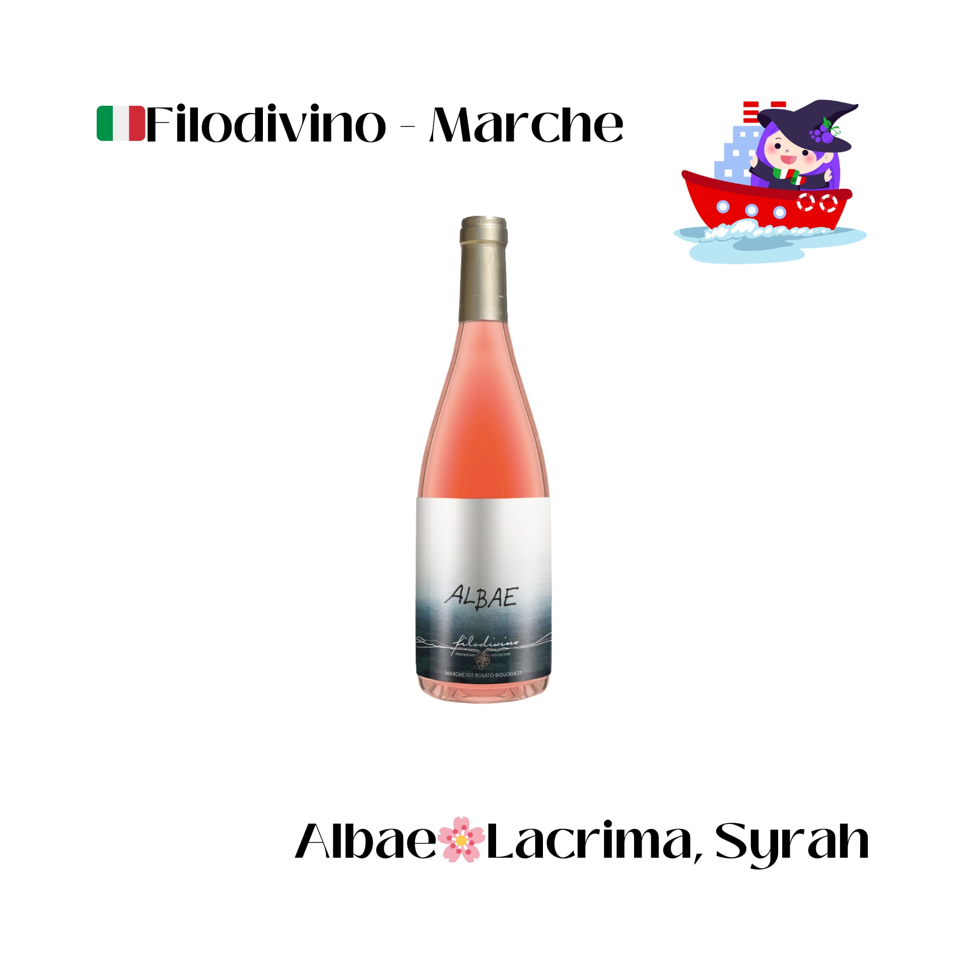 aiVino新商品コンプリートセット12本