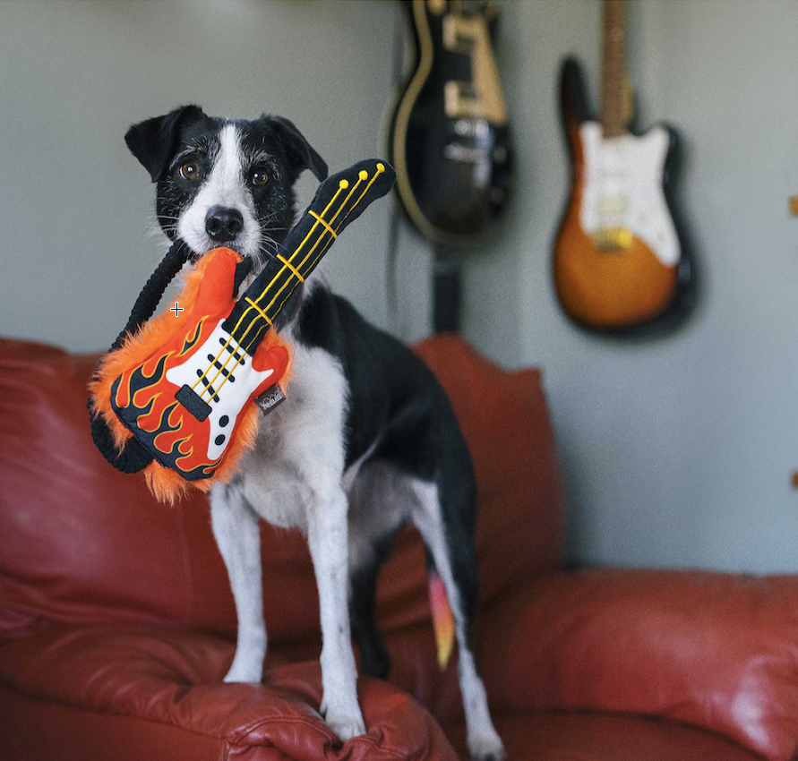 p-l-a-y-dog-toy-90s-classic-tete-not