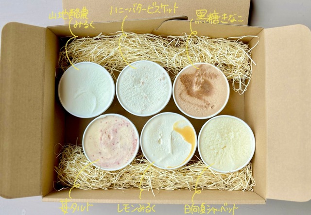 (定期便) ice cream box 6個入り