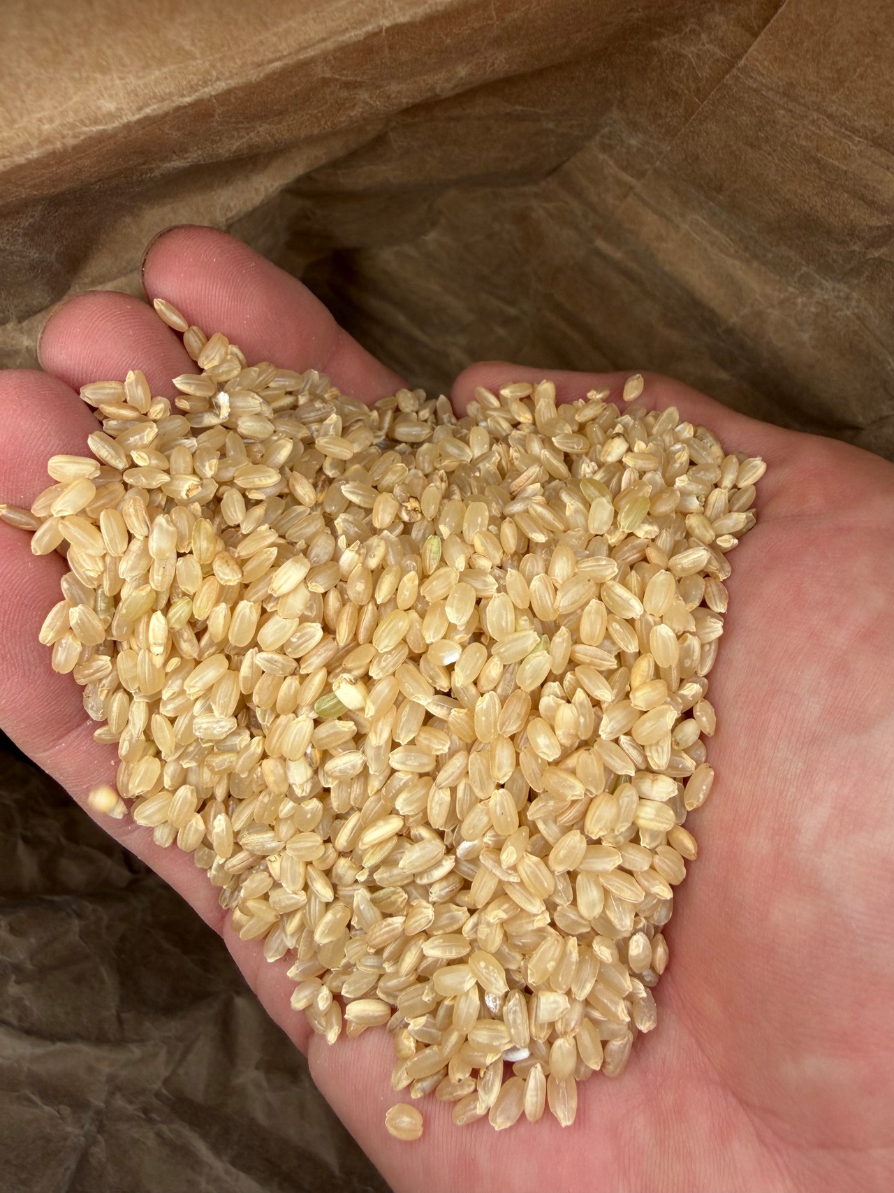 座右農園の新米第2弾 玄米5kg【山あいの田んぼから天日干しのお米】