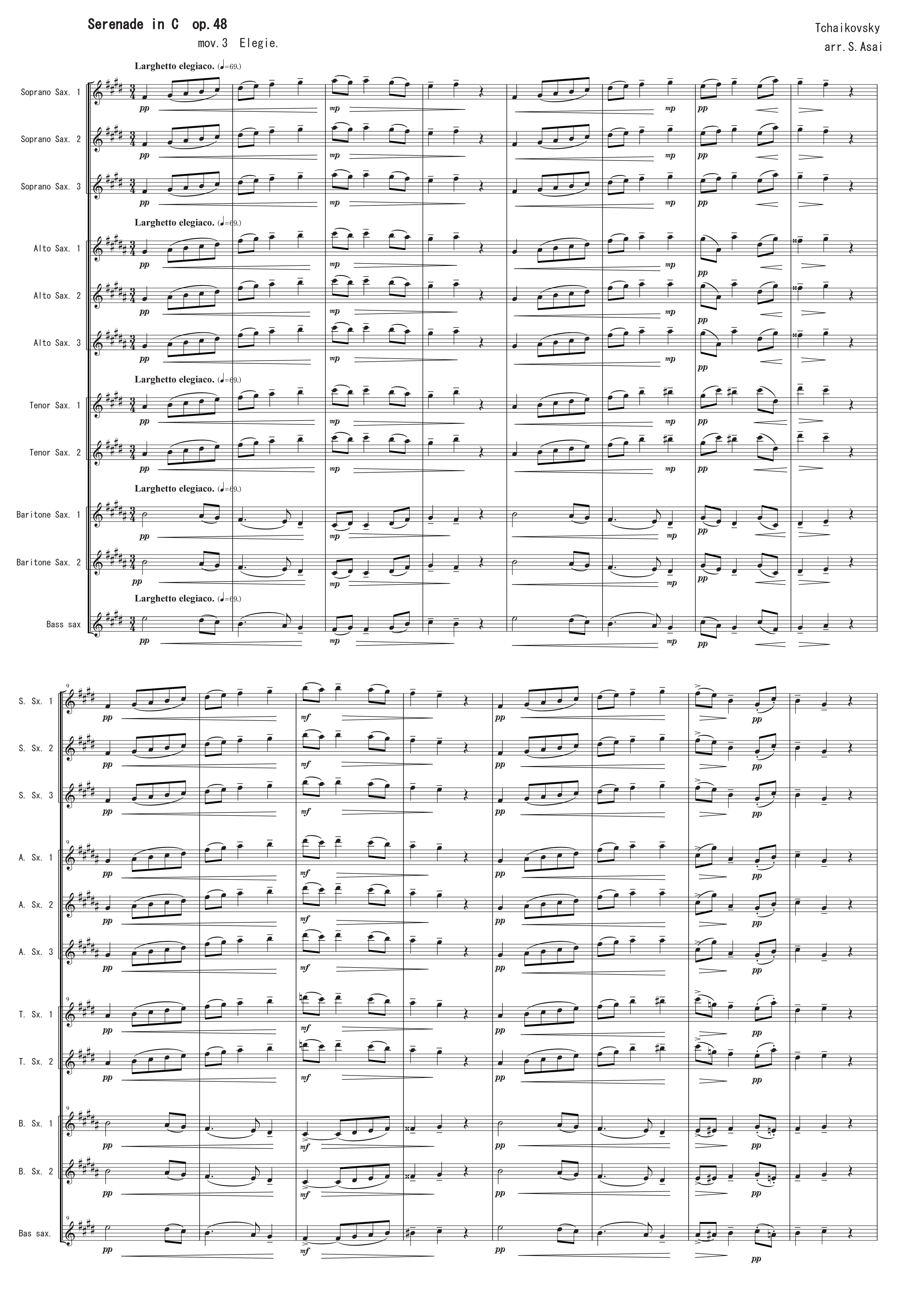Large Ensemble | Helipterum