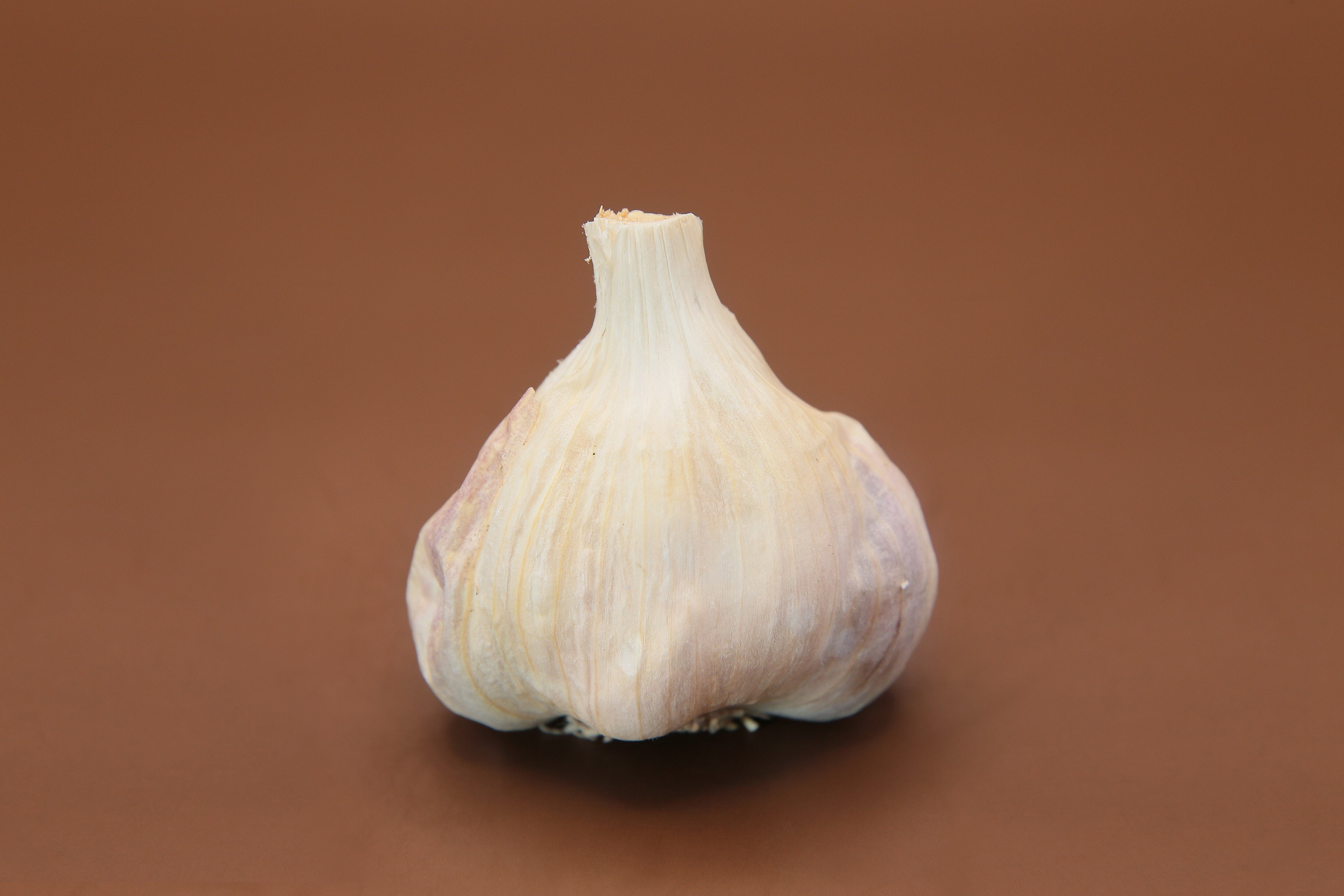 島にんにく】「伊江島」 S～M玉サイズ混合 500g | トラキチ農園