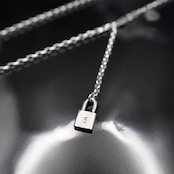 CROWN HORSESHOE w/ BLACK DIAMOND NECKLACE / クラウンホースシューブラックダイヤモンドネックレス