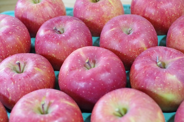 ふじ 10ｋｇ家庭用