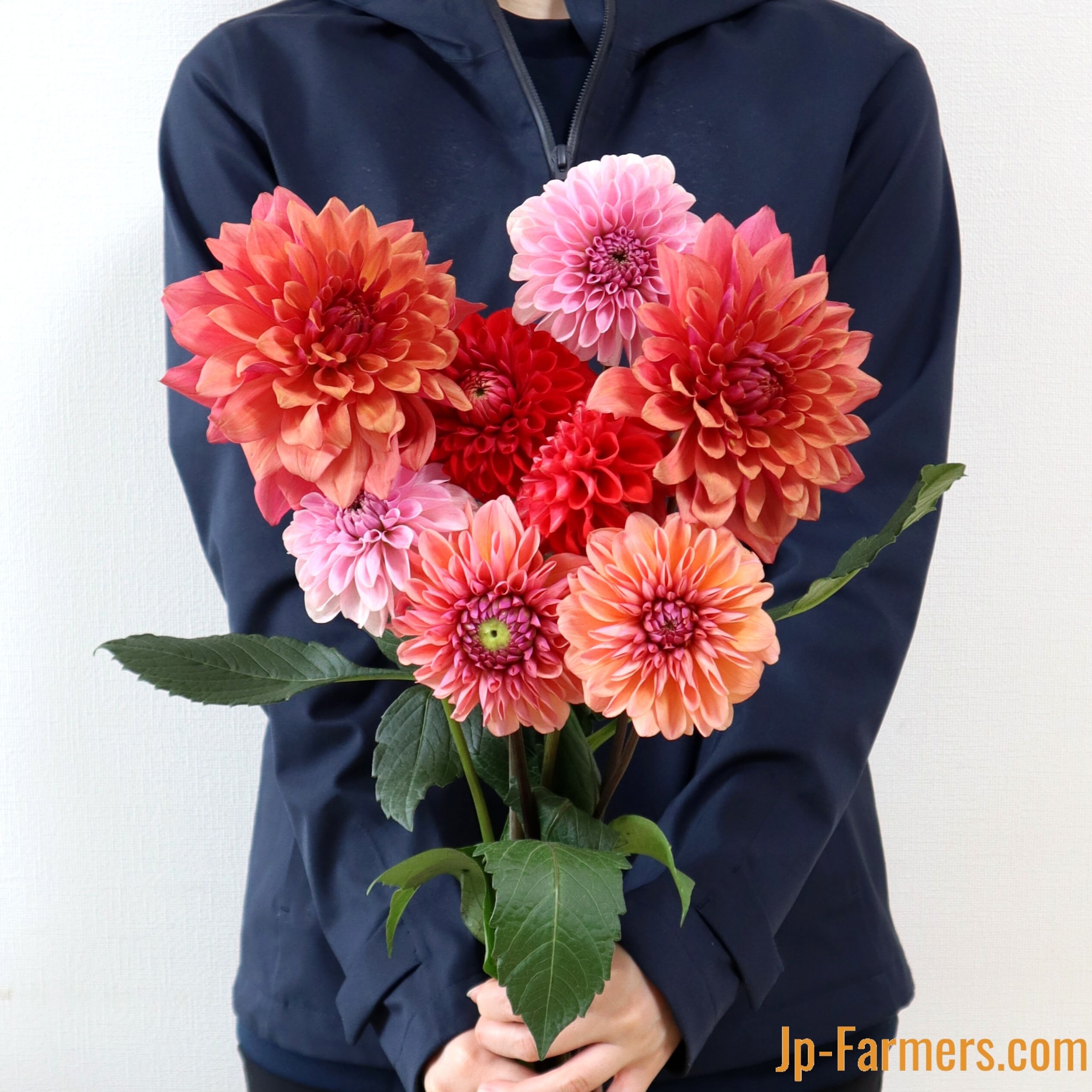 大特価！【新品＆訳あり】造花 ダリア大量 147個セット 花材 まとめ売り A-34808 ダリアピック | アン・デコールオンラインショップ｜アーティ