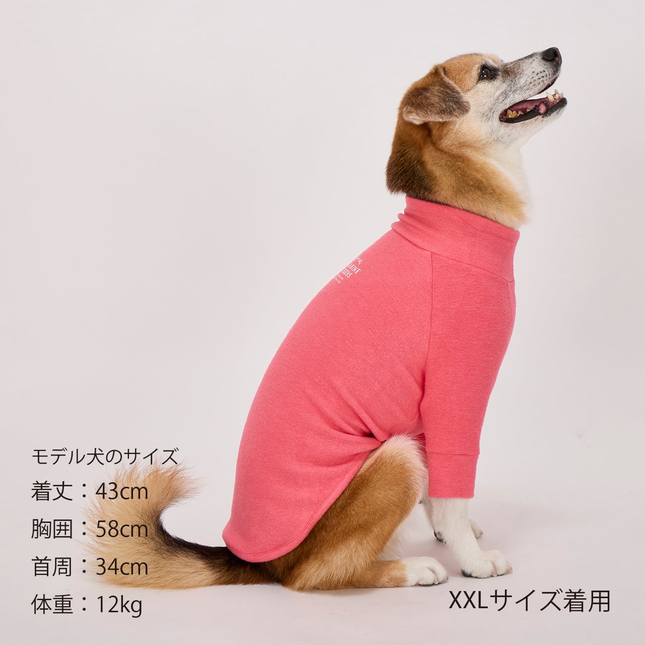 マンダリンブラザーズ スキンタイトウォームTシャツ MD SKIN TIGHT WARM T-SHIRT | WEAR | 犬服 MANDARINE BROTHERS