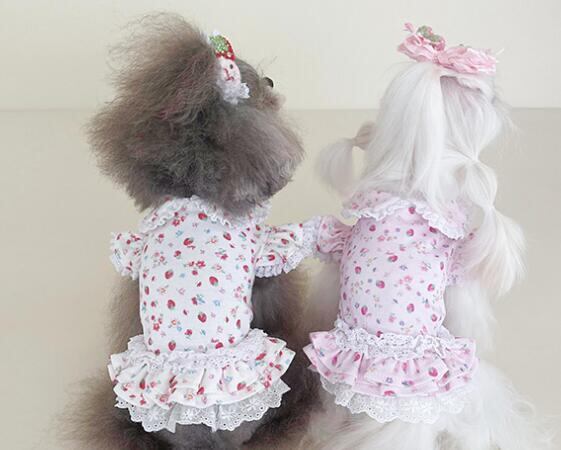 《予約》№3102238 フラワー&フルーツ柄ワンピース