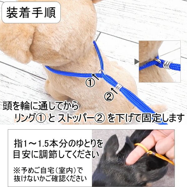 犬 首輪 リード セット スキップドッグ プチインリード ペット 小型犬