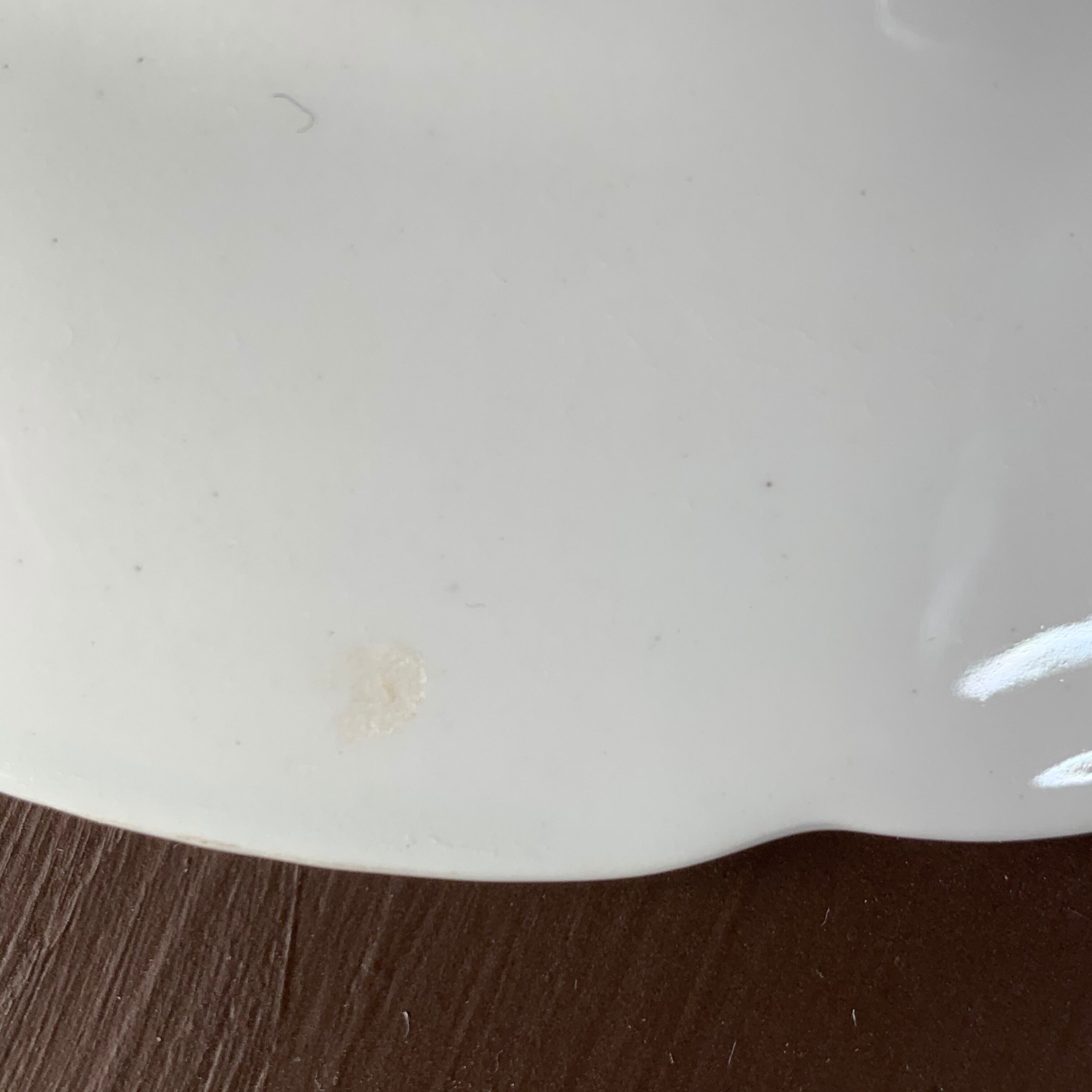 スージークーパー「リースボーダー プレート16.5cm」イギリス製