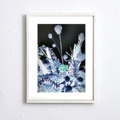 ルミナス・ボタニカル｜闇に浮かぶ幻想的な植物アートポスター｜静寂と光が調和するモダン空間を彩る上質インテリアデザインA3ポスター