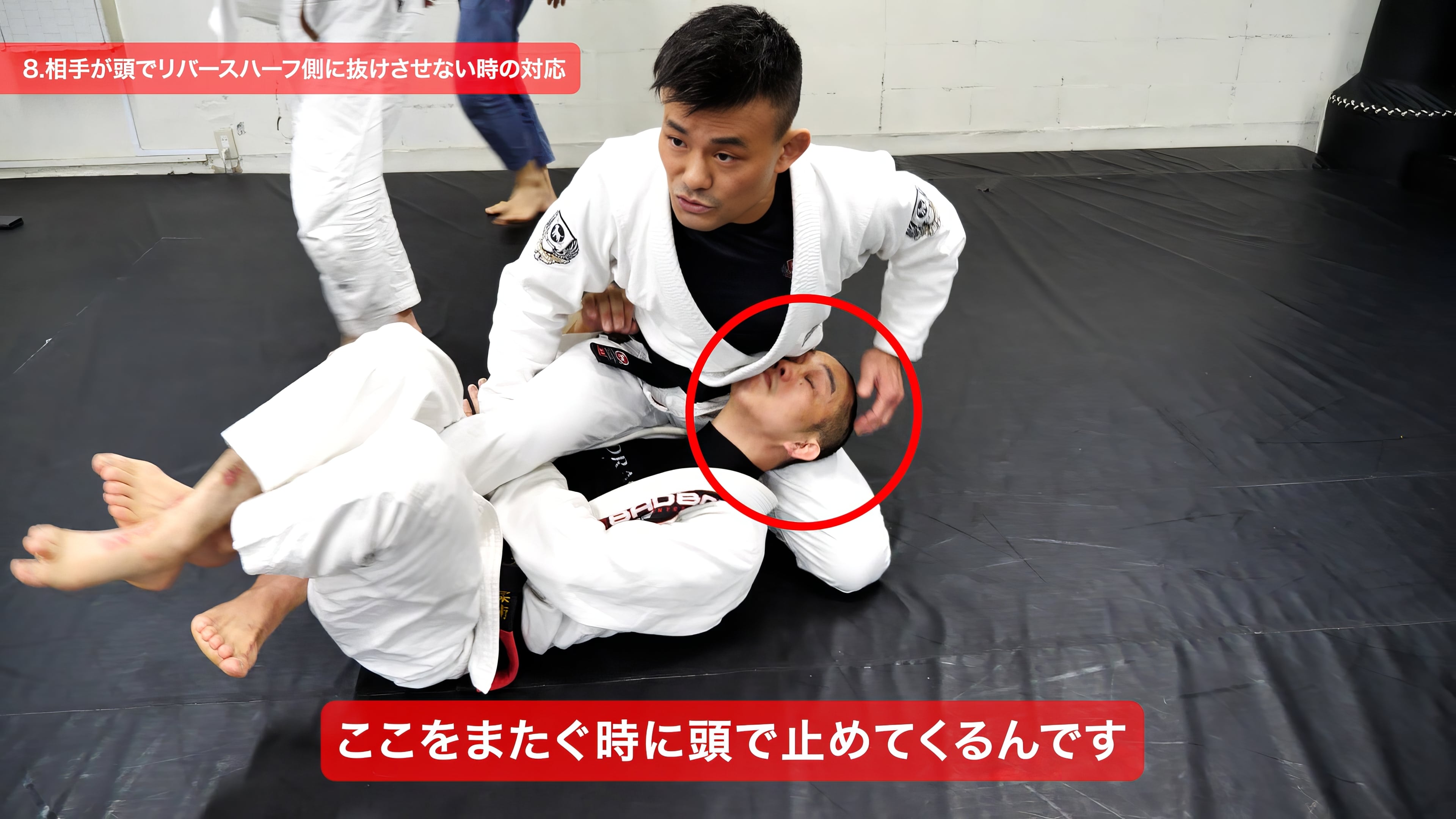 木部亮 STRATEGIC DEEP HALF GUARD 戦略的ディープハーフガード 動画版