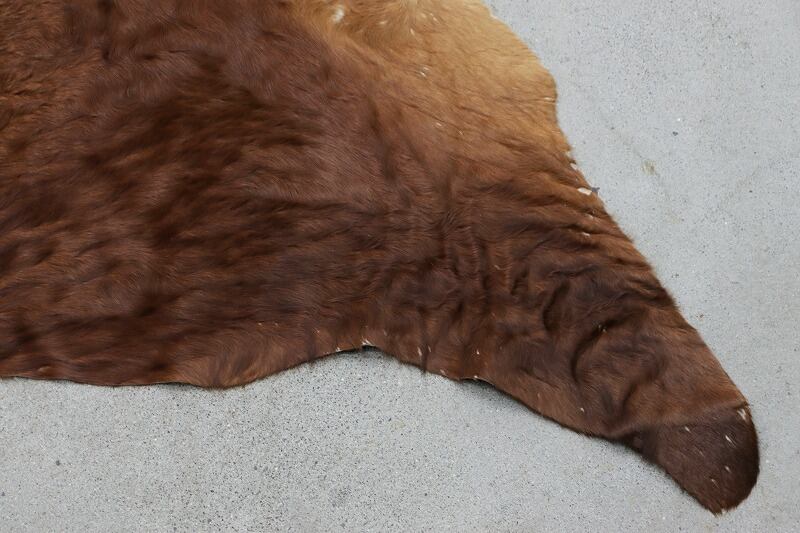 牛革 本革 カウラグ 220×197 カーペット 絨毯 敷物 大判 毛皮 牛革 本革 カウラグ 220×197 カーペット 絨毯 敷物 大判 毛皮 ブラウン