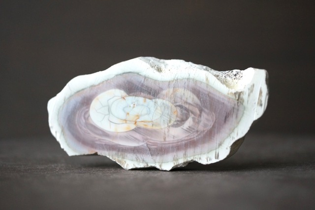 ロイヤルインペリアルジャスパー　Royal Imperial Jasper 1161