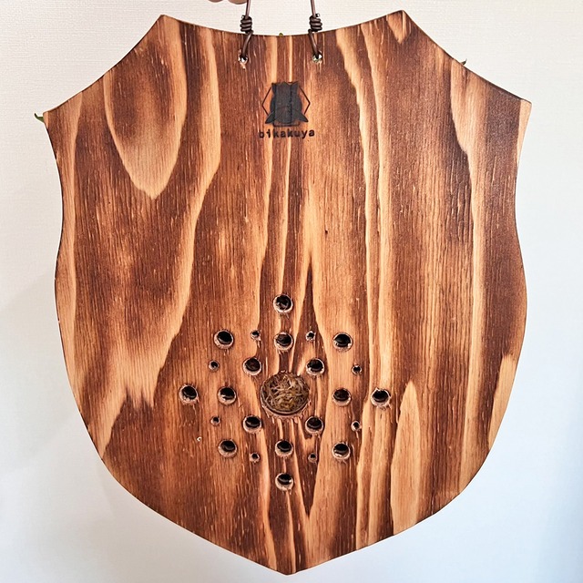 ビカクシダ グランデ 板付 【観葉植物 壁掛け コウモリラン】