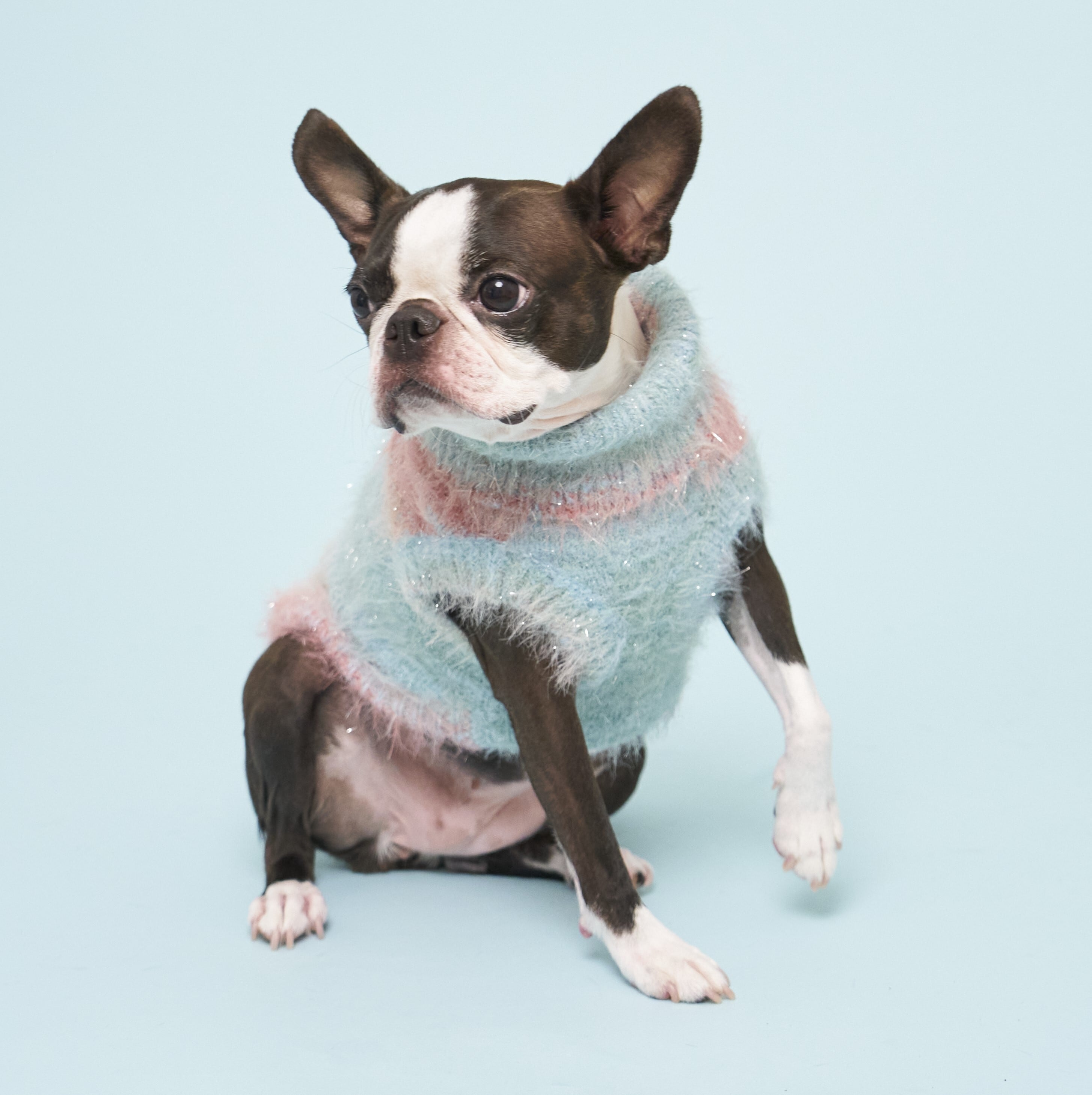 SPACE DYE LAME KNIT - BLUE/PINK | HYGGELE