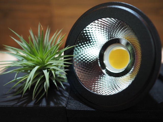 ◇ AMATERAS LED-10W ／ 太陽光に最も近い植物育成ライト × 2個Set  