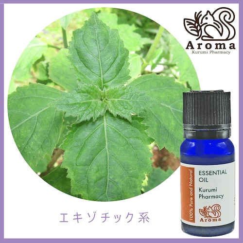 パチュリ　10mL　 Patchouli