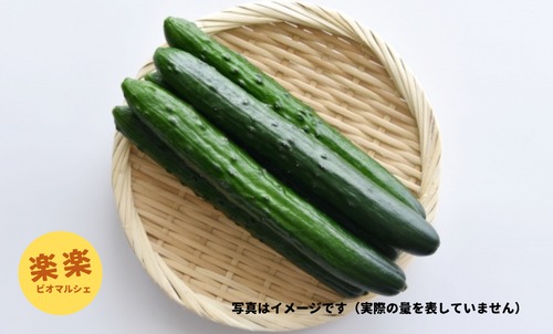 きゅうり（2～3本・400g）
