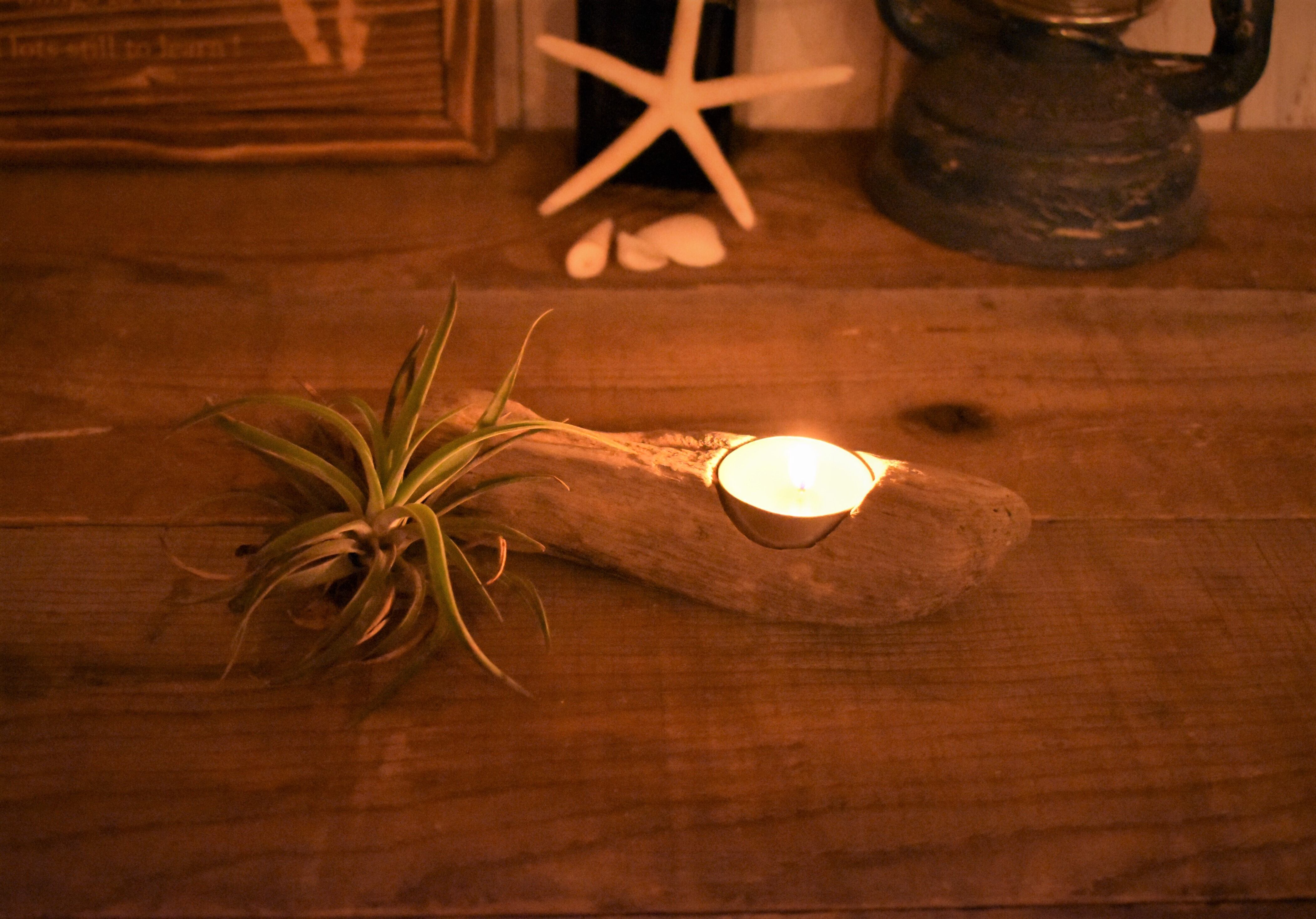 世界に一つ!流木アート アロマキャンドルホルダー#07