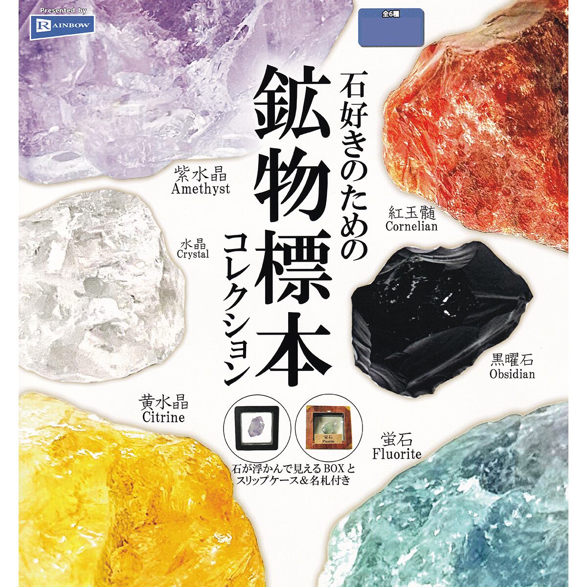 石好きのための鉱物標本コレクション レインボー 【全6種フルコンプ