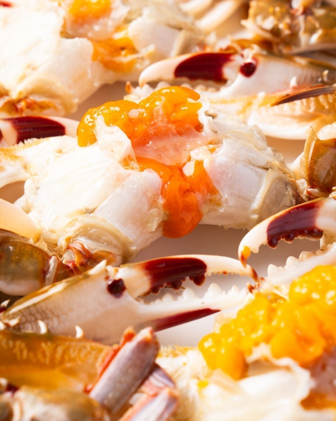 冷凍雌内子入りワタリガニ | kanishizyan